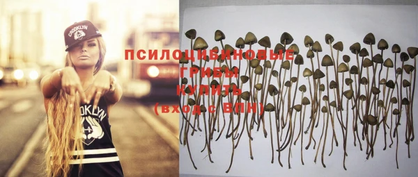 шишки Лабытнанги