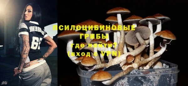 дмт Краснотурьинск