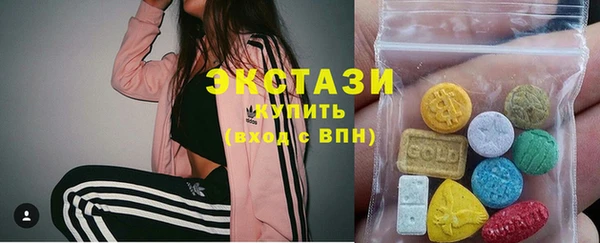шишки Лабытнанги