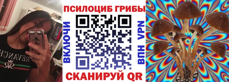 mega ONION  Фатеж  Псилоцибиновые грибы прущие грибы 